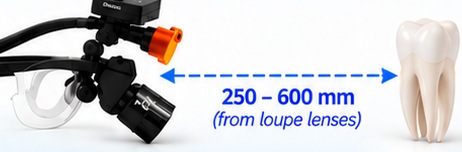 Working distance of 250 to 600 mm from the loupe lenses